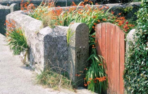 Image of a front garden with a brown gate