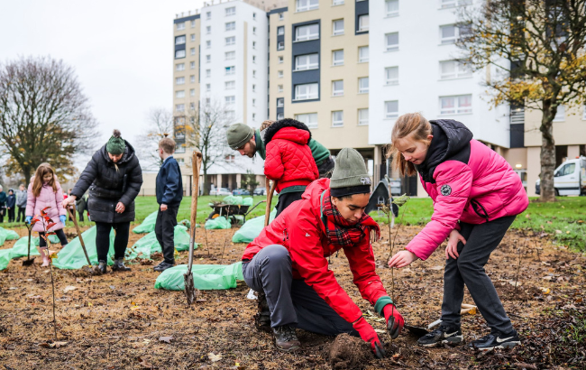 Photo of a group of people planting trees in urban areas. 