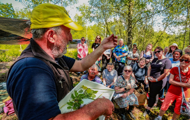 Photo of an volunteer scientist showing leaf variety to forest visitors