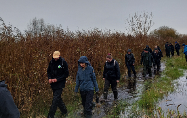 Image of people walking through a wetland