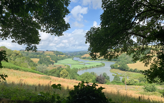 Image of rolling hills and the river at Dart at Sharpham