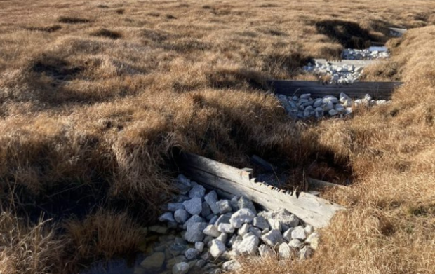 Reflections from the peatland restoration season – Environment