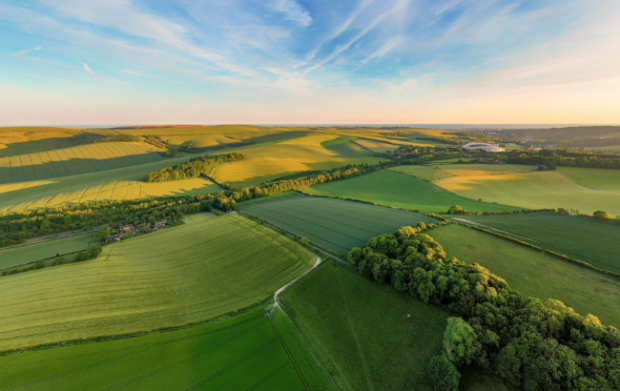 Aerial view of South Downs National Park.