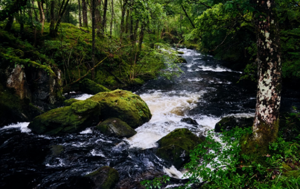 image of flowing river