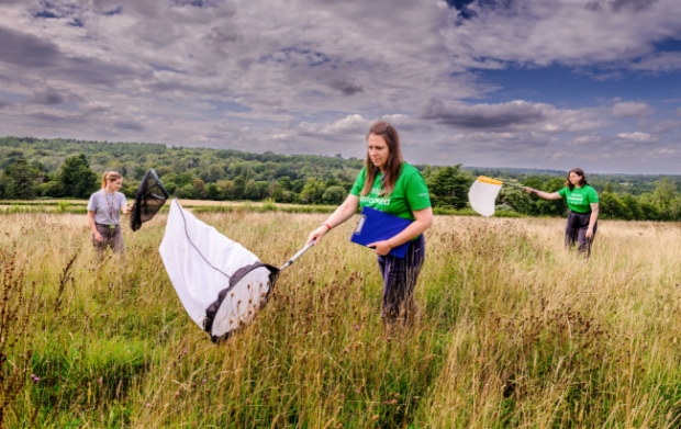 image of the Nature Unlocked team at Wakehurst conducting pollination research in an open field