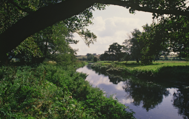 Image of river with trees and bushes reflecting in the water.