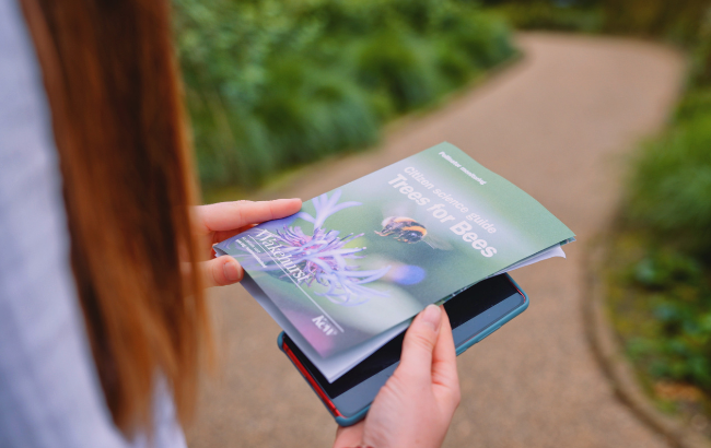 Image of an individual holding a Trees for Bees guide on the Wakehurst bee trail