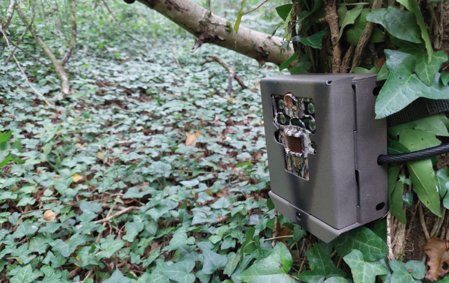 image of a trail camera attached to a tree in a leafy environment