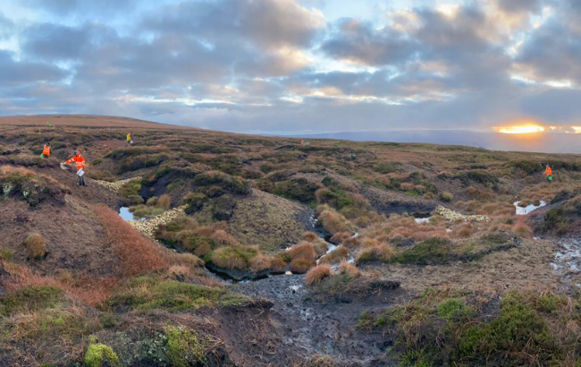 images of workers on peatland