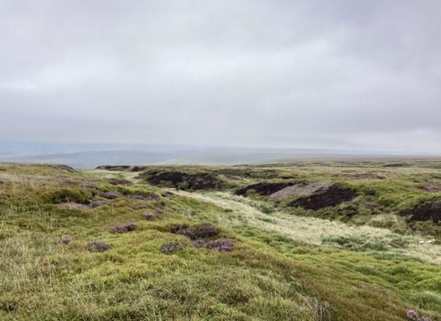 blanket bog in the Peak District