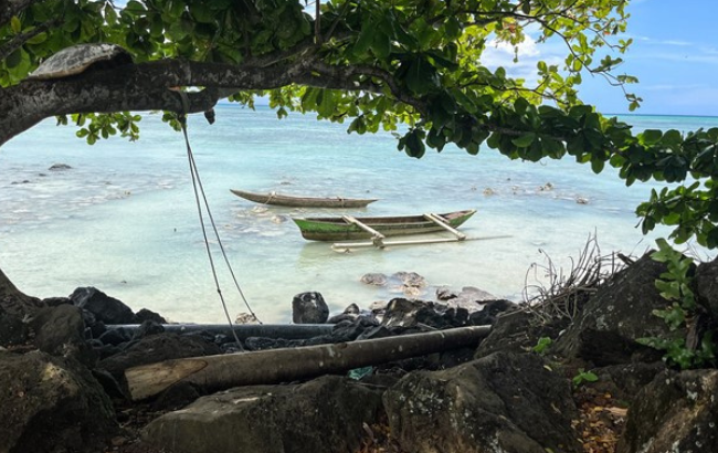 Image of two boats in the sea with a branch of a tree framing the picture