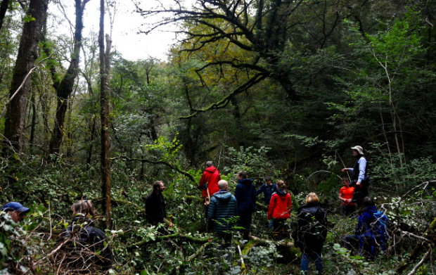 Project members shown working in a woodland.