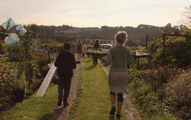 Volunteers walking away from camera, holding trays of young plants.