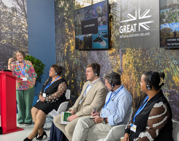 image of a panel of 5 people talking at a COP29 event