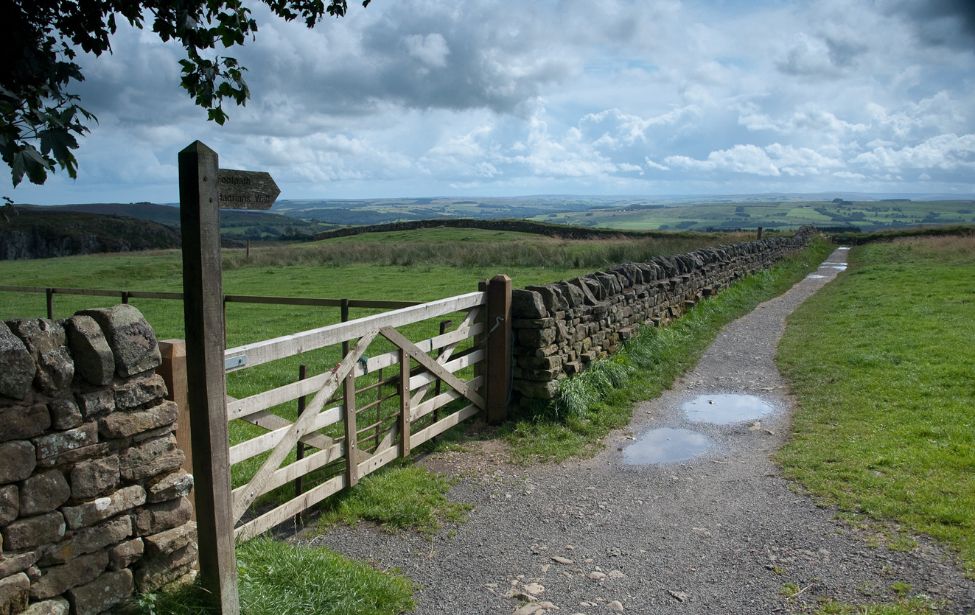 A footpath sign pointing to a path heading towards the horizon.