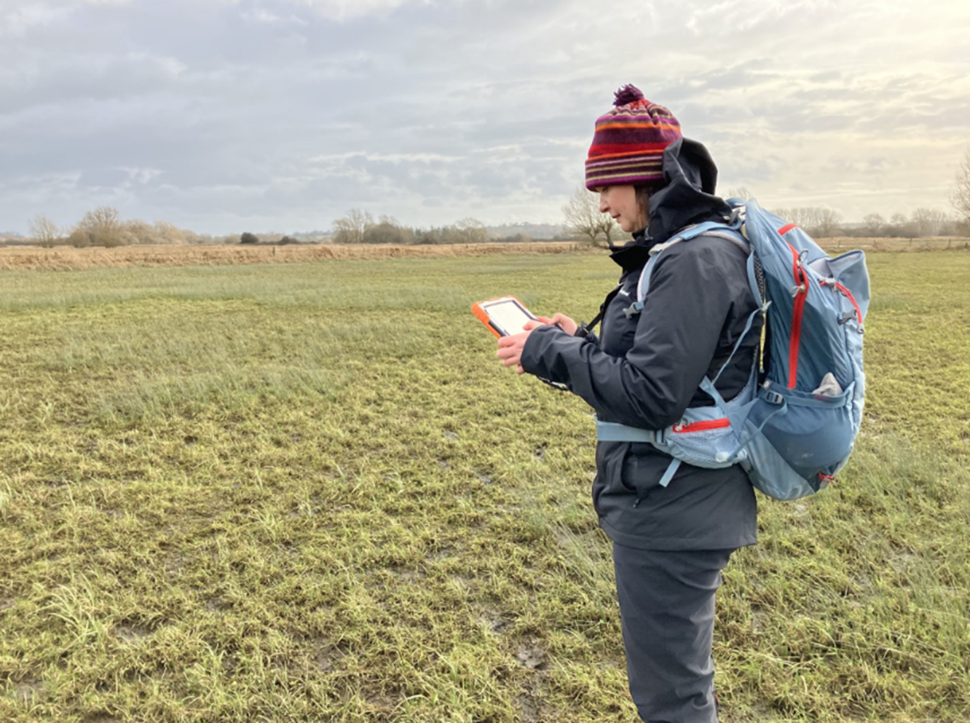 A woman in a field looking at a device, conducting research.