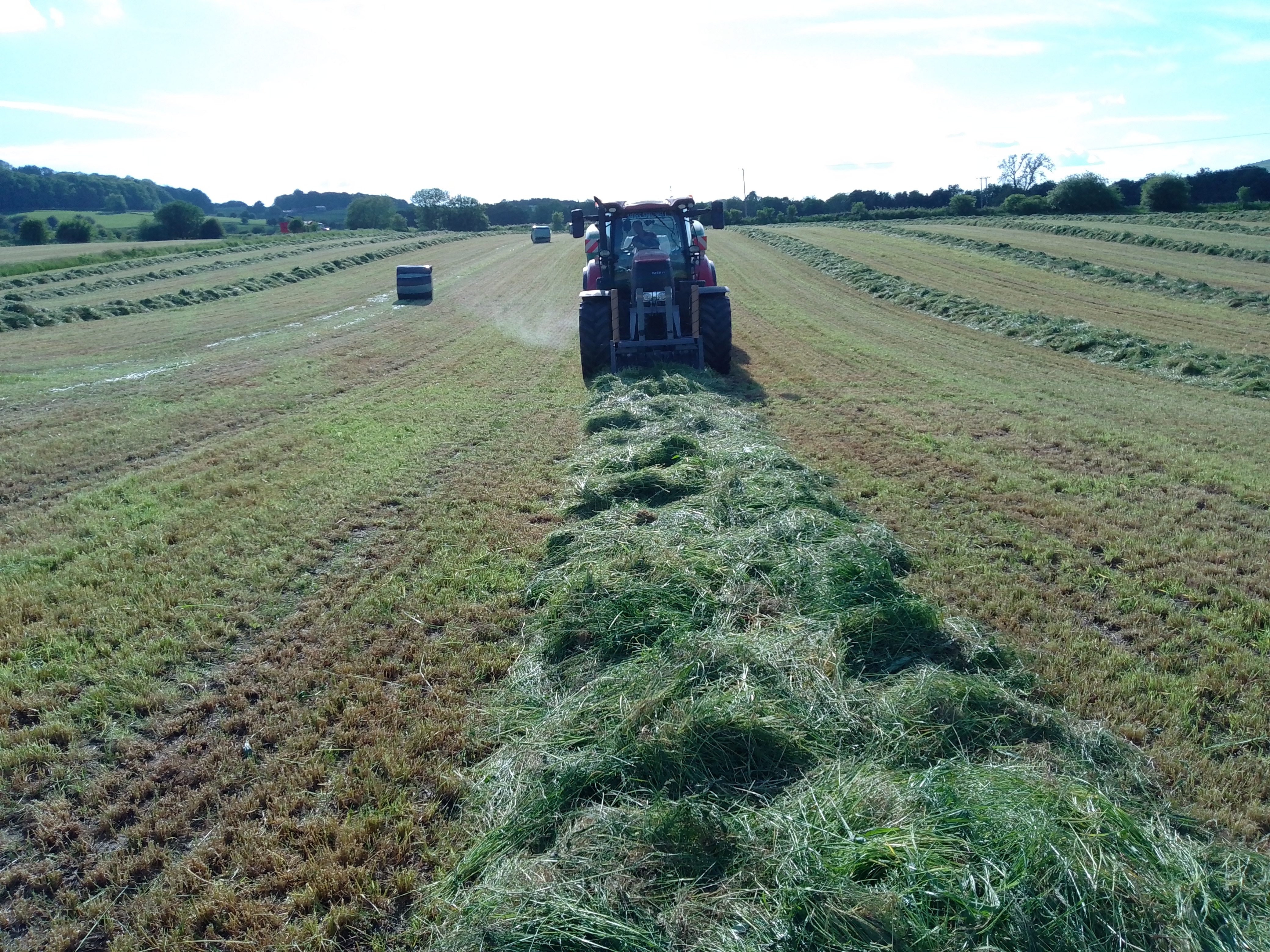 image of a tractor trimming a herbal ley plant