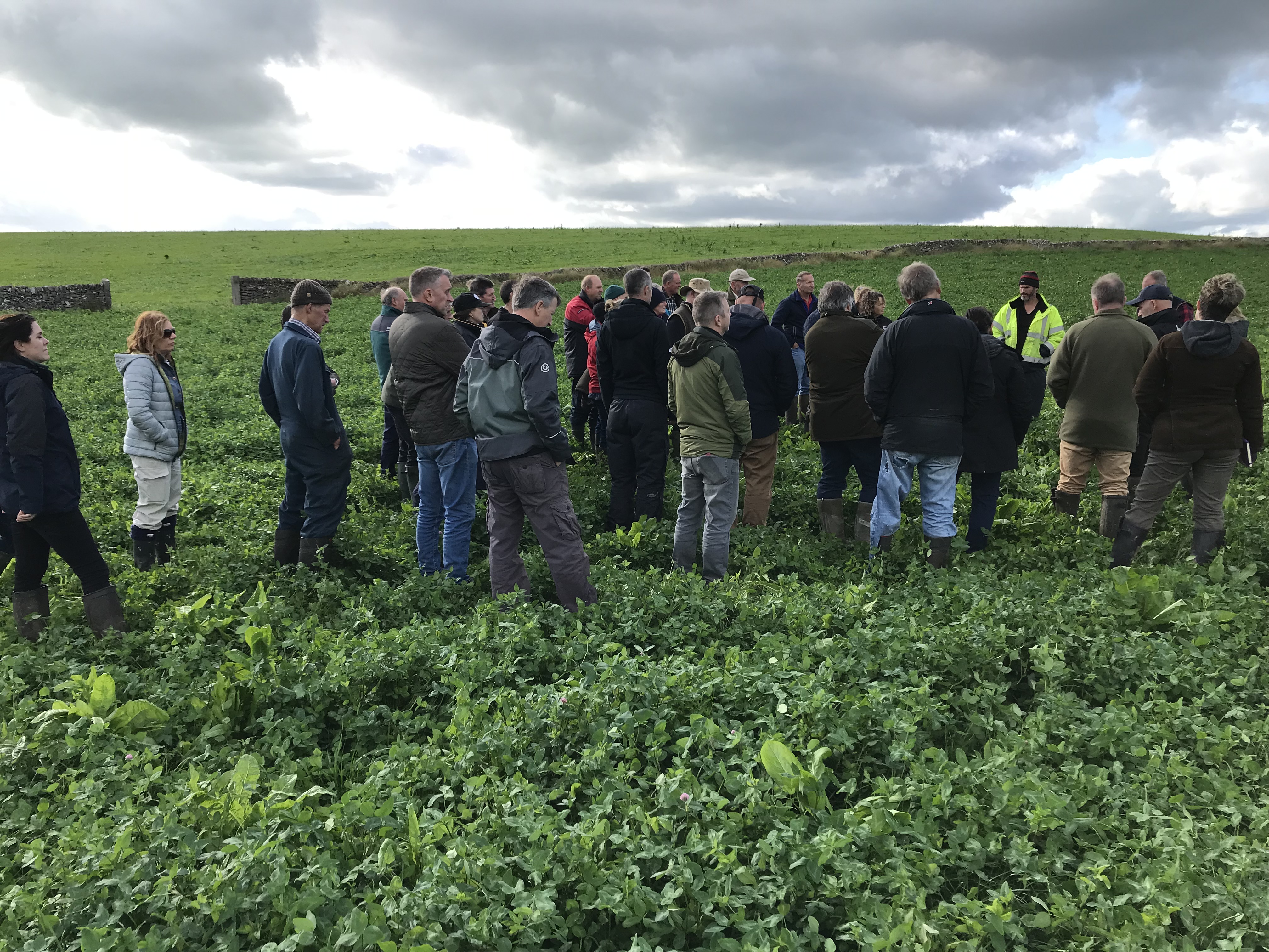 image of individuals going on a walk on a farm