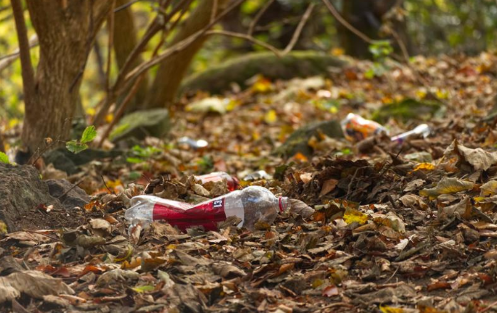 image of plastic bottle littered in a forest