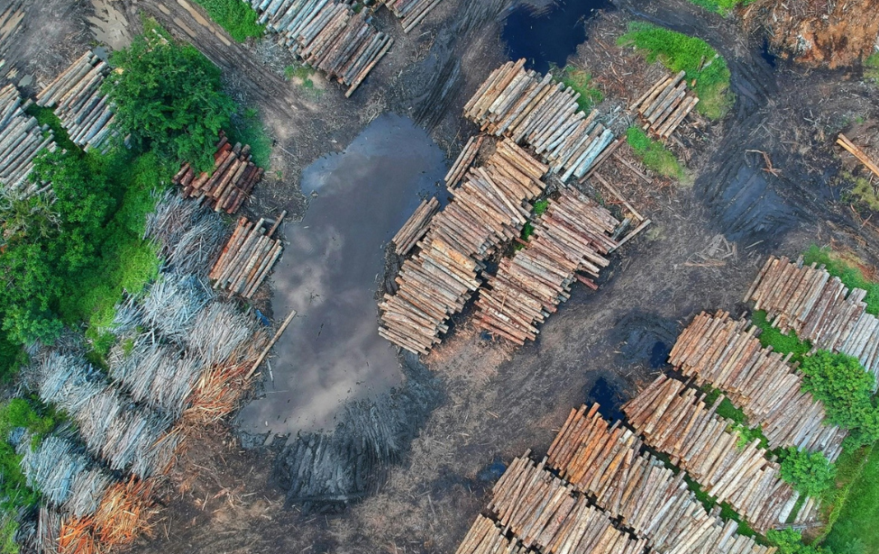 aerial image of woodpiles