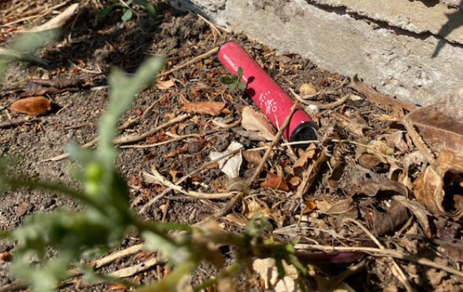 image of a red reusable vape nestled in litter and woodland on the street