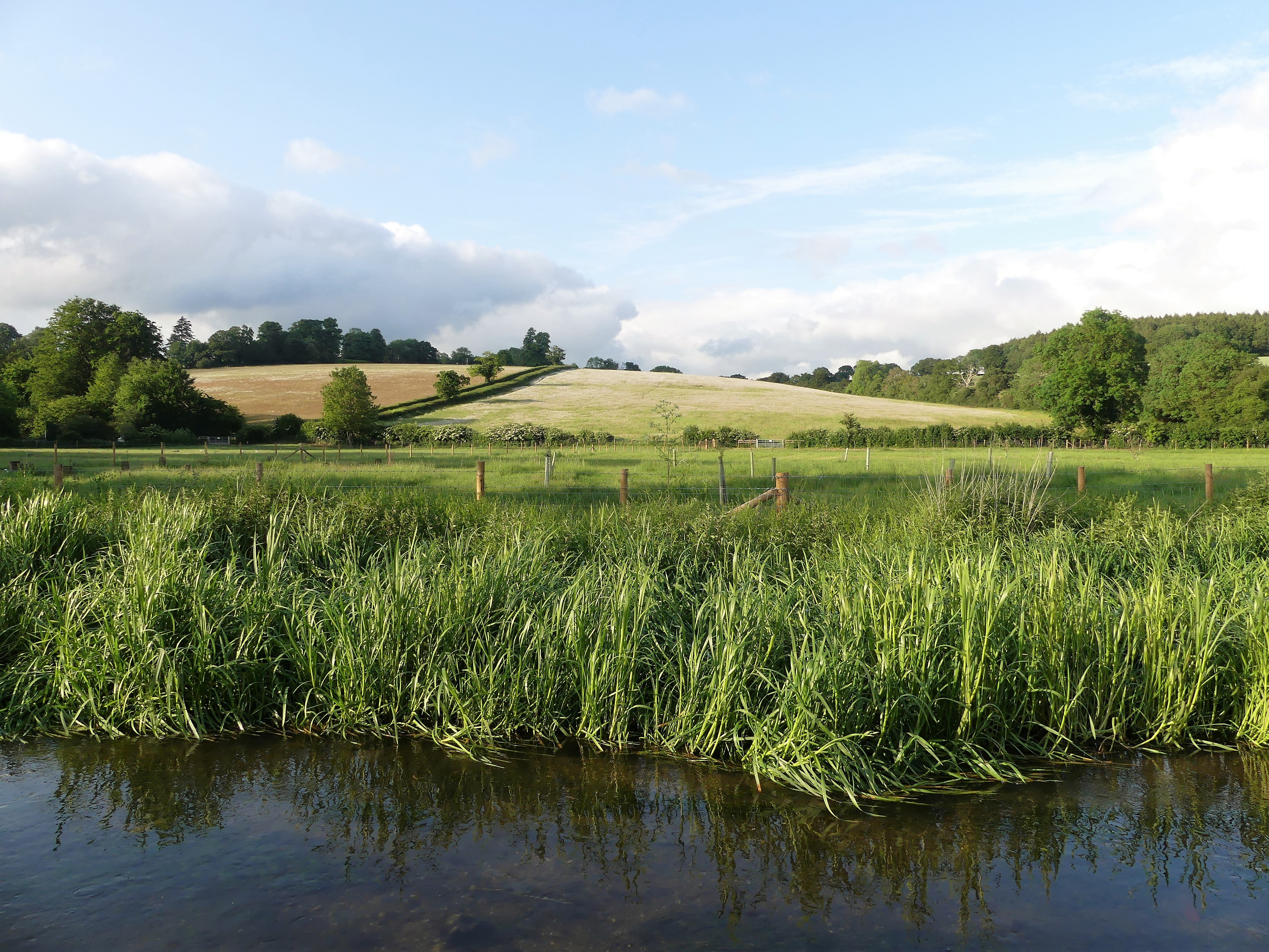 image of a river and surrounding rolling green hills.
