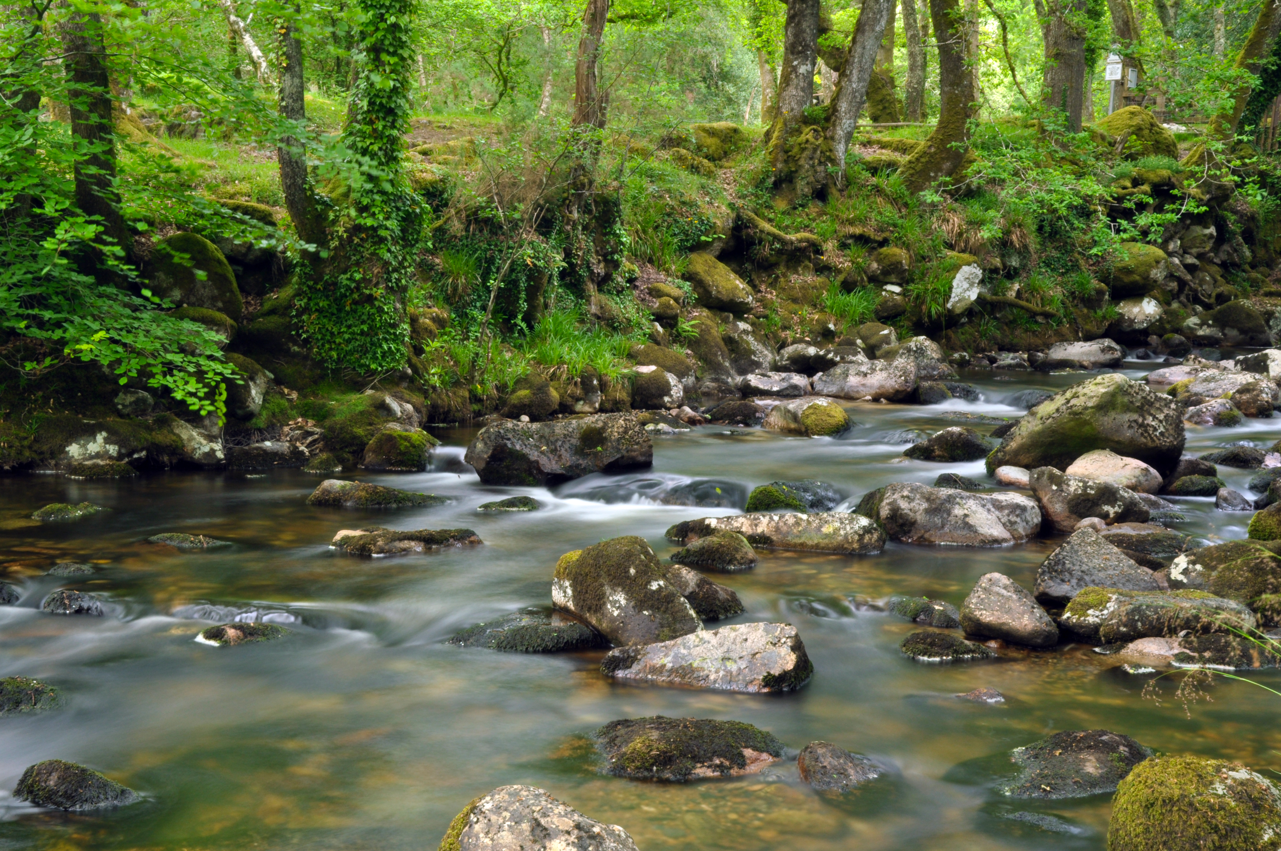 image of river