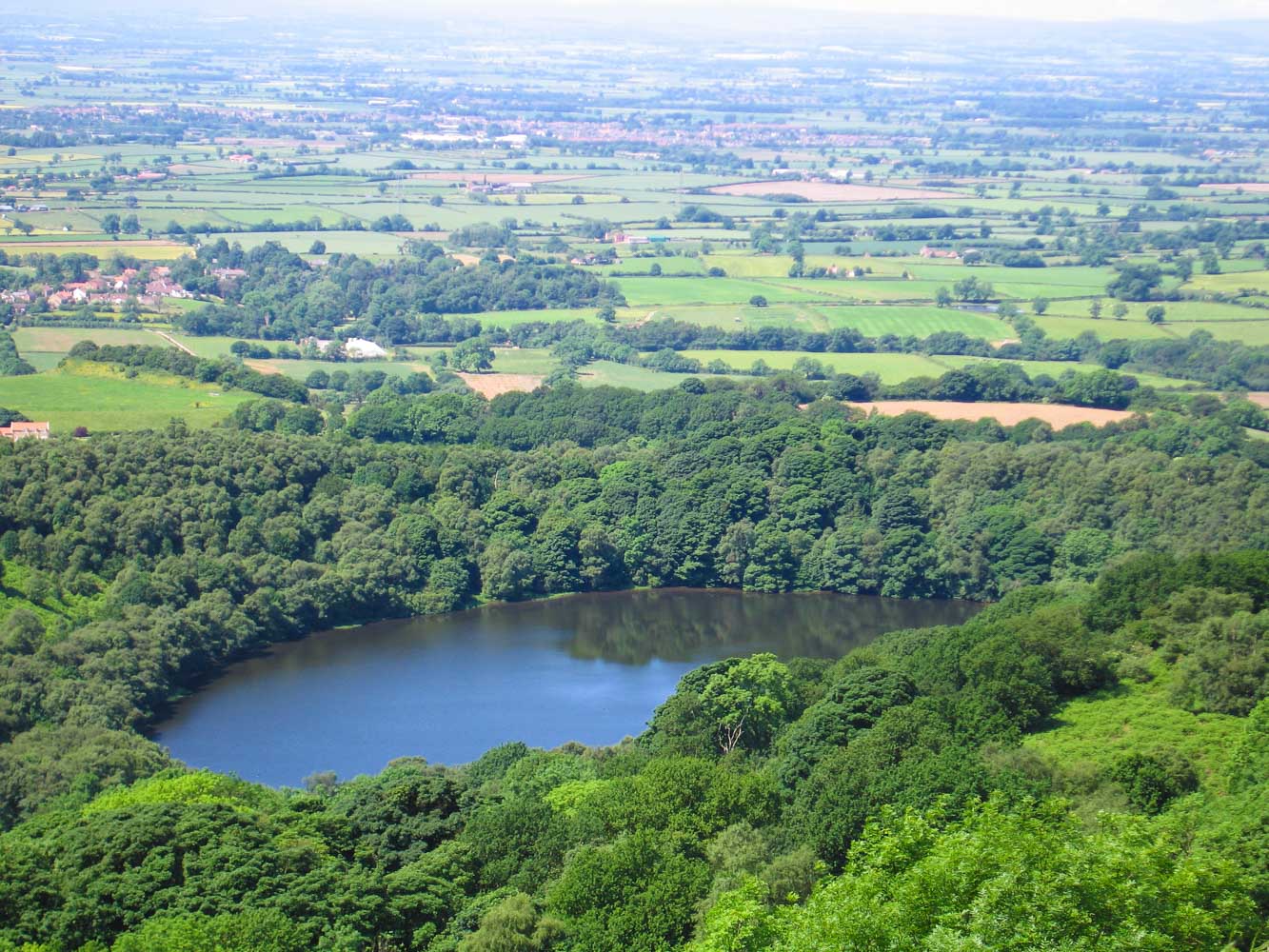 image of green space with lake