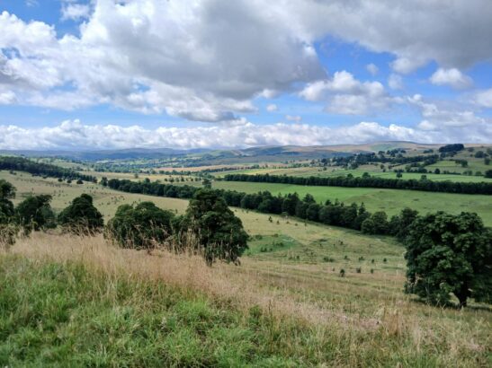 image of a rolling field, with lots of clouds