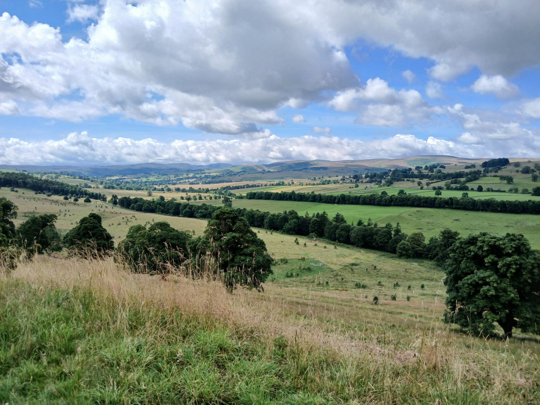 image of a rolling field, with lots of clouds