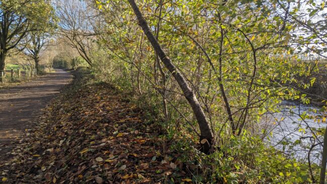Autumnal shot of a footpath next to a river