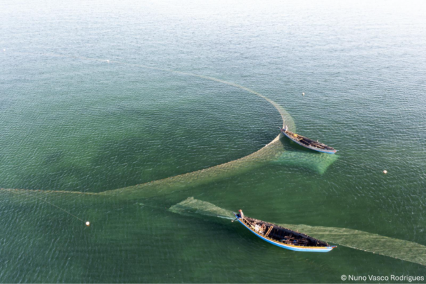 two boats in the ocean fishing