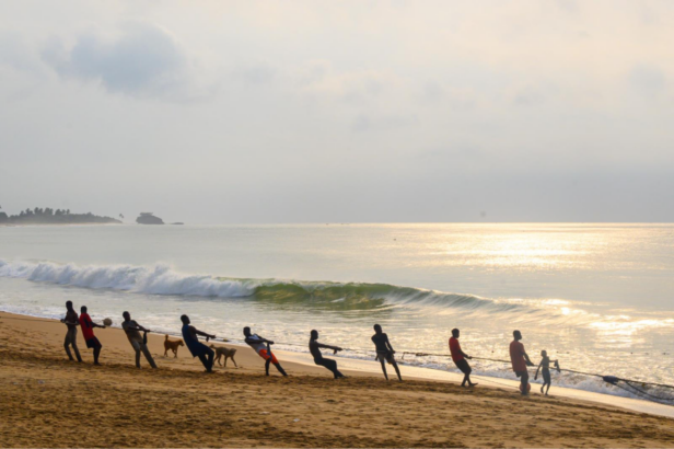 People pulling a net on a beach
