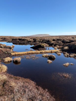 Warcop training area, peatland restoration 
Credit: Ministry of Defence 