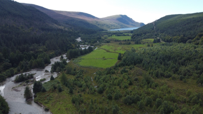 A view up the valley Wild Ennerdale Credit: Forestry England 