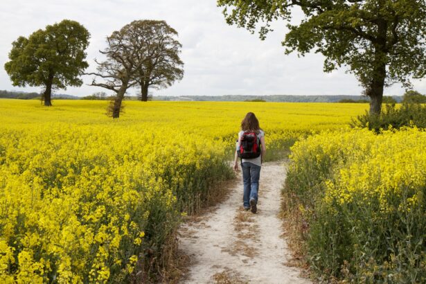 Woman walking along track through a yellow rapeseed field